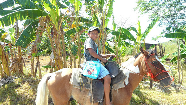 Boy riding home with his new bag and Bible